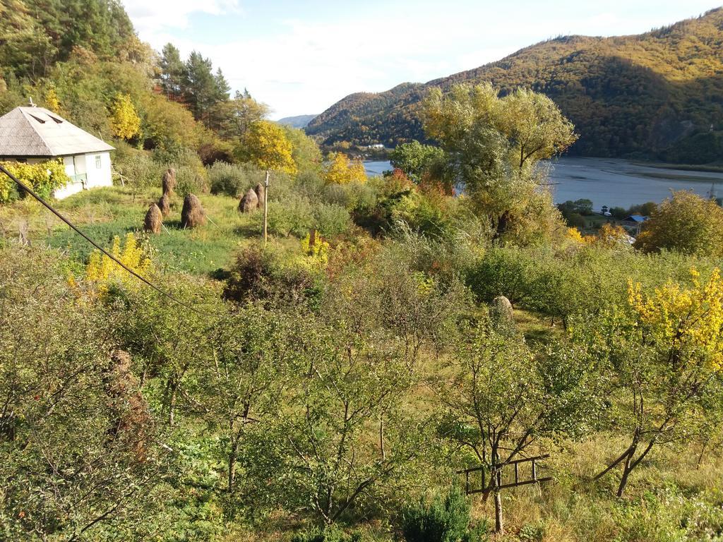 Villa Casa Irina Piatra Neamţ Exterior foto